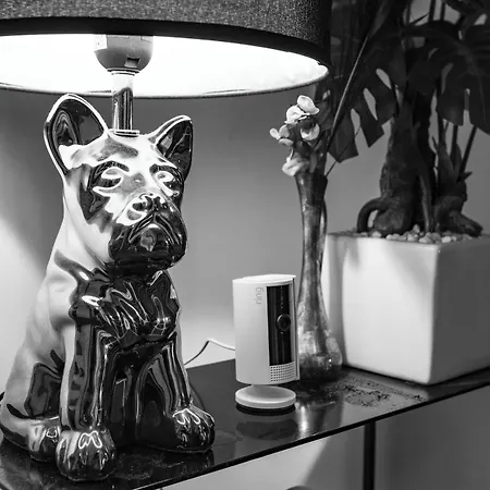 D'amis - D'hotes-b&b-guest House