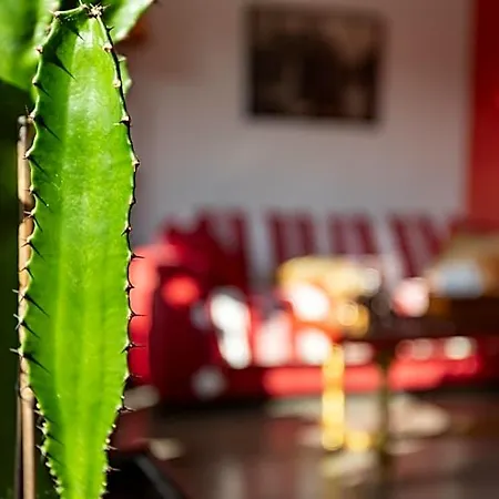 D'amis - D'hotes-b&b-guest House Bed & Breakfast Parijs