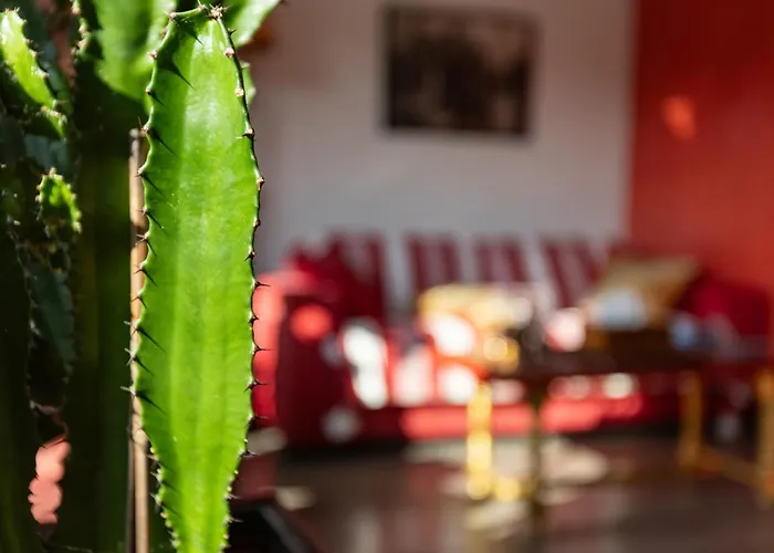 D'amis - D'hotes-b&b-guest House Bed and Breakfast