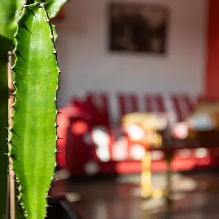 D'amis - D'hotes-b&b-guest House Bed and Breakfast